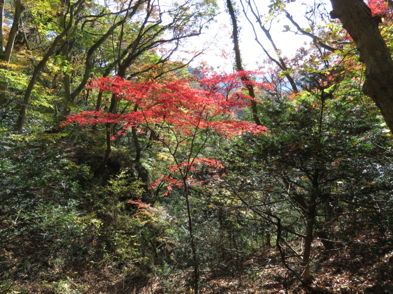 奥久慈・男体山